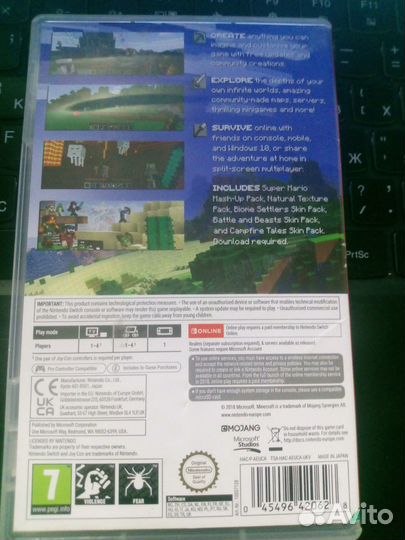 Minecraft Nintendo Switch