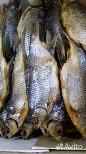 Плотва вяленая