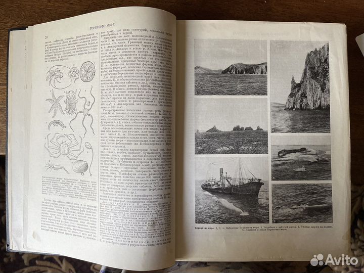 Большая советская энциклопедия (бсэ) 51 том