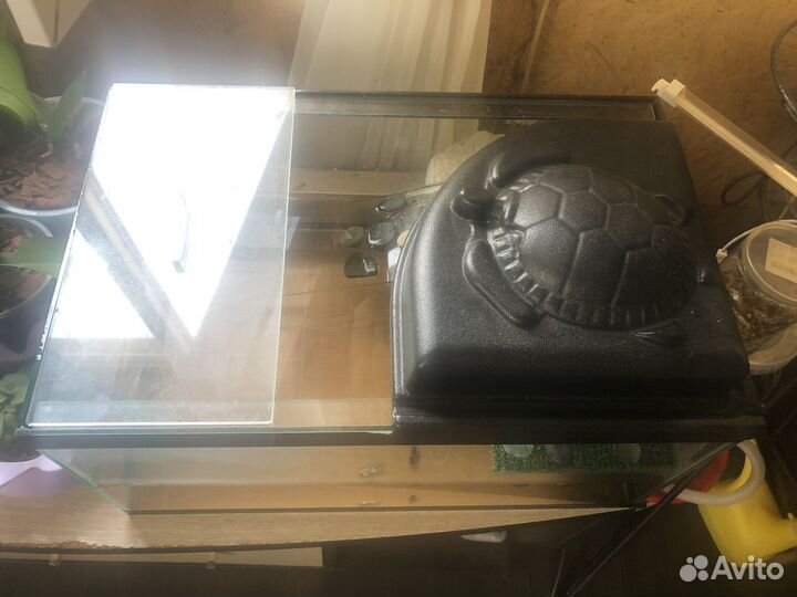 Аквариум для черепахи