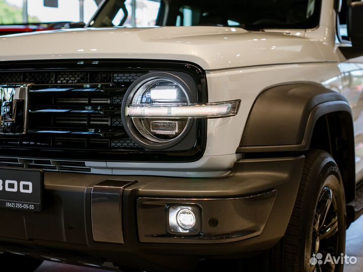 Tank 300 2.0 AT, 2024