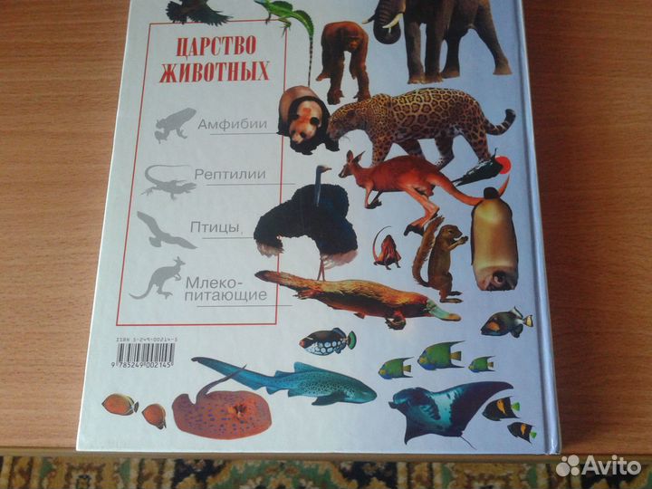 Царство животных