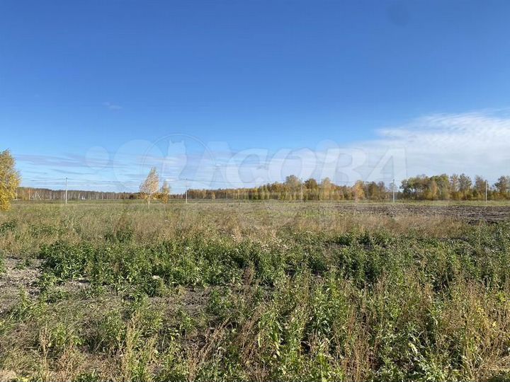 Участок 15,1 сот. (СНТ, ДНП)