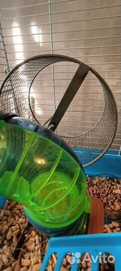 Клетка для грызунов большая