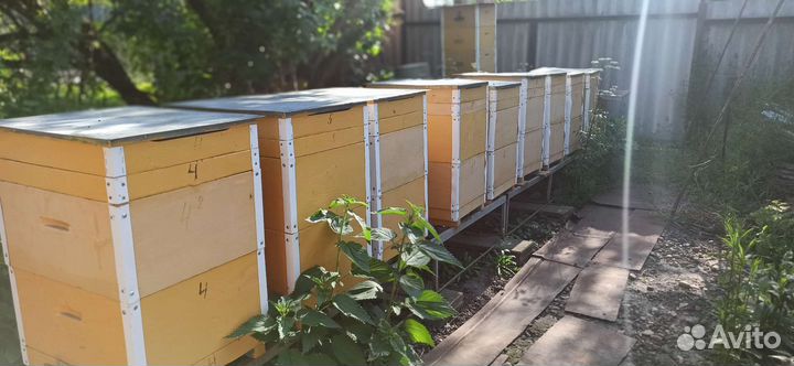 Продам ульи для пчел