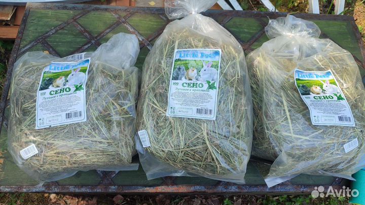 Сено с крапивой для грызунов