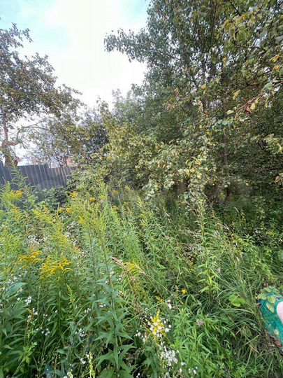 Участок 5,5 сот. (ИЖС)