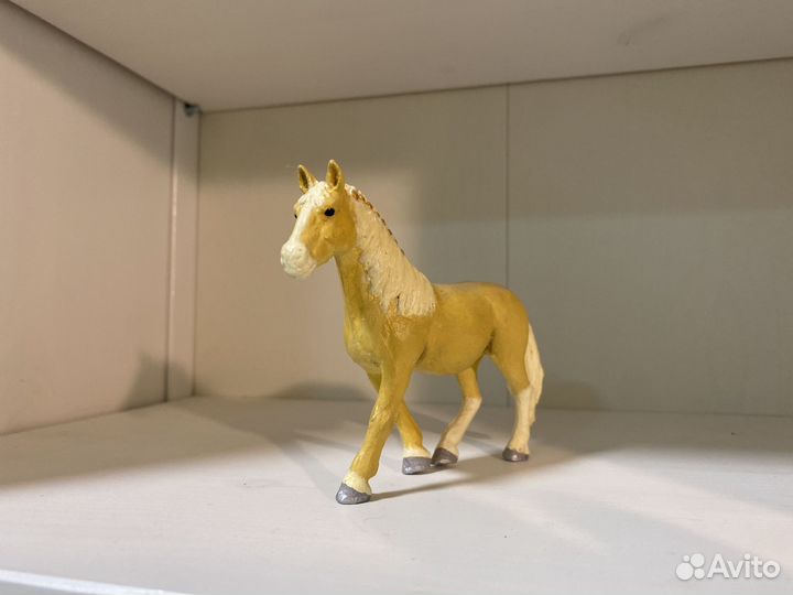 Перекрас Шляйх