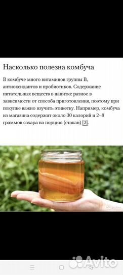 Чайный гриб и уксус чайного гриба