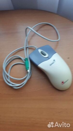 Мышь