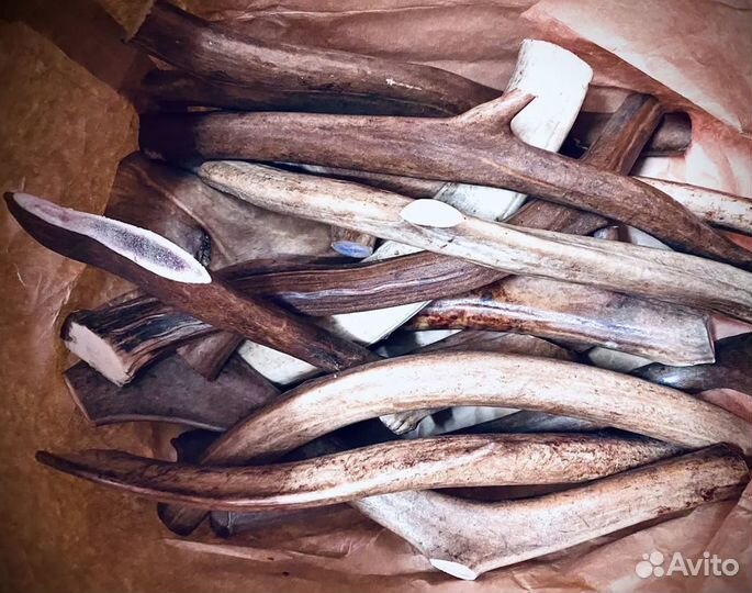 Лакомство для собак, рога, в ассортименте