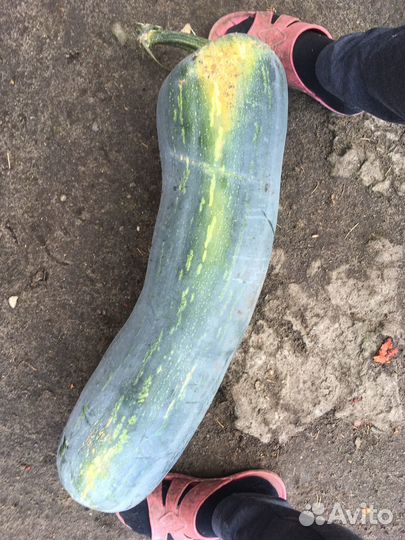 Тыквенный сок