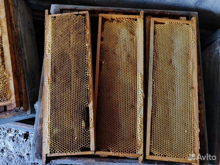 Сушь магазинная