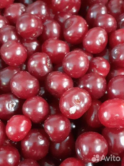 Ягоды замороженные, варенье,соленье, сок