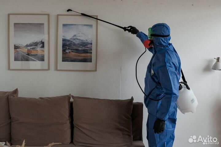 Обработка от насекомых холодным туманом