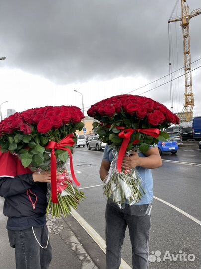 Розы шикарный