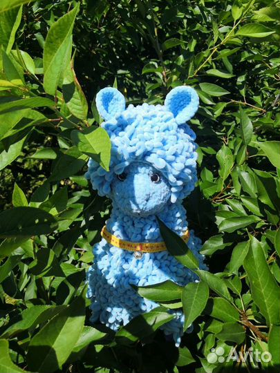 Альпака, лама