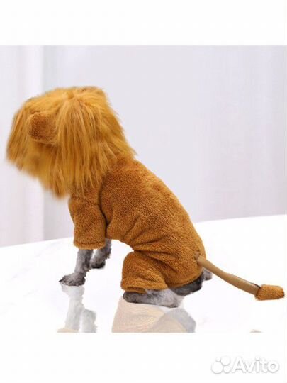 Одежда для собак и кошек
