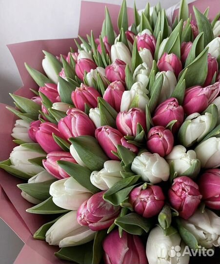 Тюльпаны к 8 марта