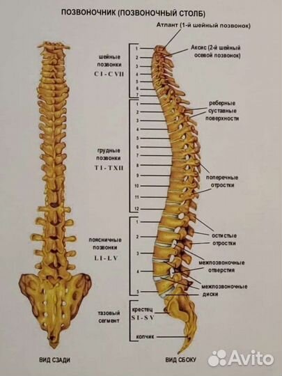 Мануальный массаж, Костоправ