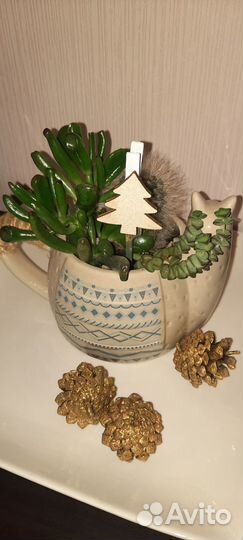 Цветочная композиция новогодняя