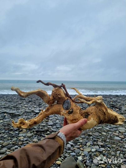 Коряга дрифтвуд