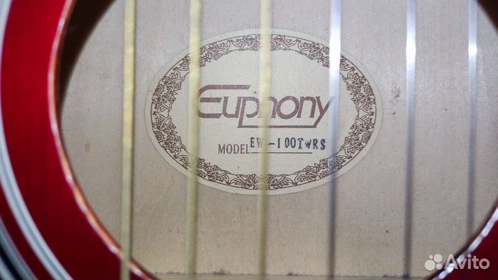 Гитара акустичeскaя Euphony EW-100twrs