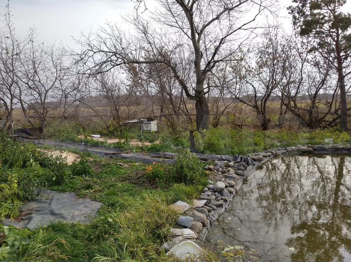 Дом 54,6 м² на участке 41 сот.