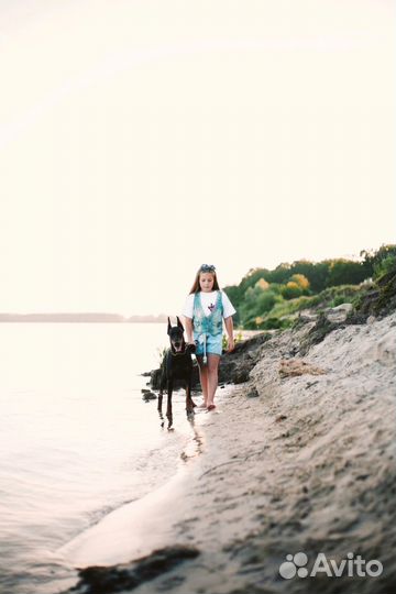 Фотосессия с доберманом