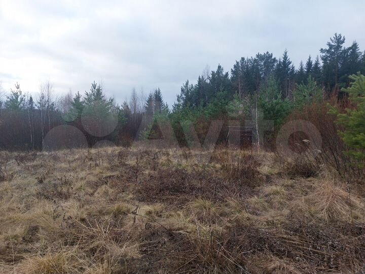 Участок 25 сот. (ИЖС)