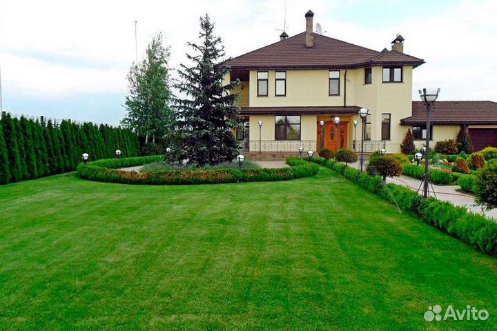 Рулонный газон - производство,доставка,укладка