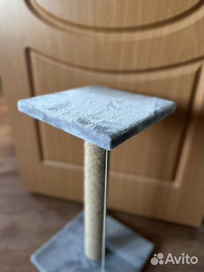 Когтеточка