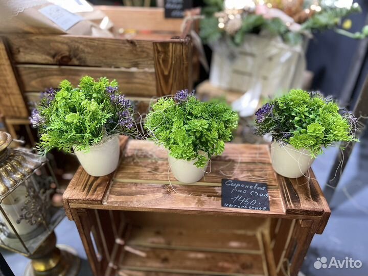 Чудесная эко зелень