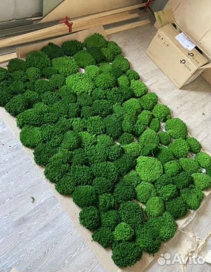 Мох ягель кочки премиум класс ягель