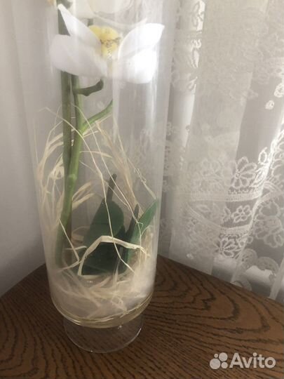 Ваза с искусственной орхидеей Италия