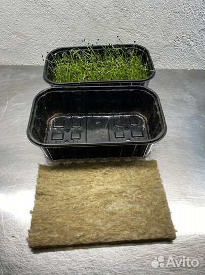 Агровата для Растений Микрозелени Оптом Мат axdrty