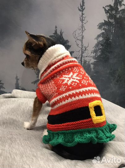 Одежда для собак