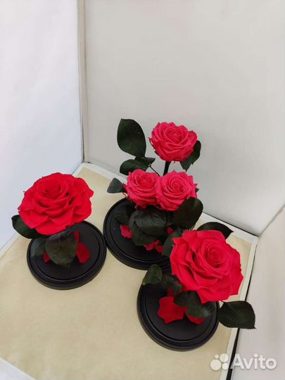 Роза в колбе