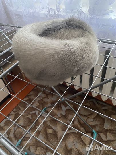 Шапка зимняя женская