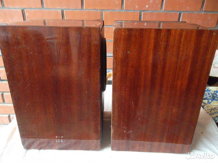 Колонки 10 ас 203