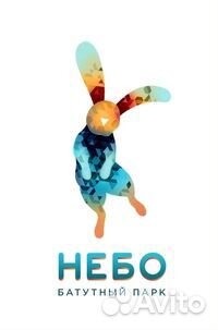 Сертификат подарочный / билет на батут в Небо