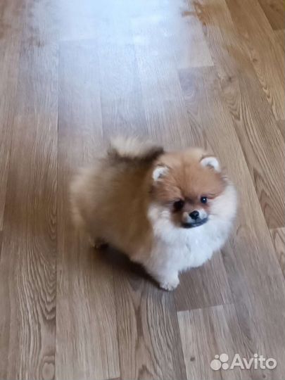 Большой выбор