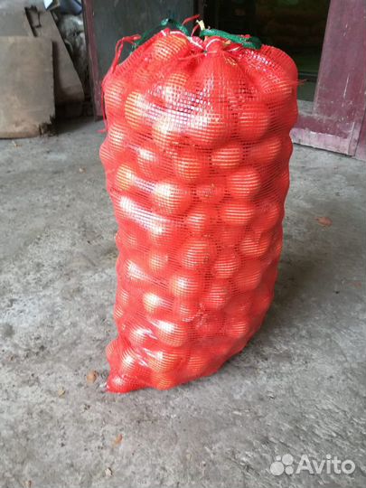 Лук оптом сорт Боска