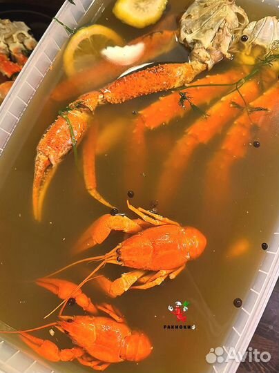 Живые и Варёные Волжские раки. Доставка