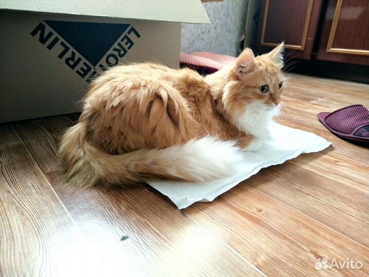 Коврик 3 шт. для животных охлаждающий