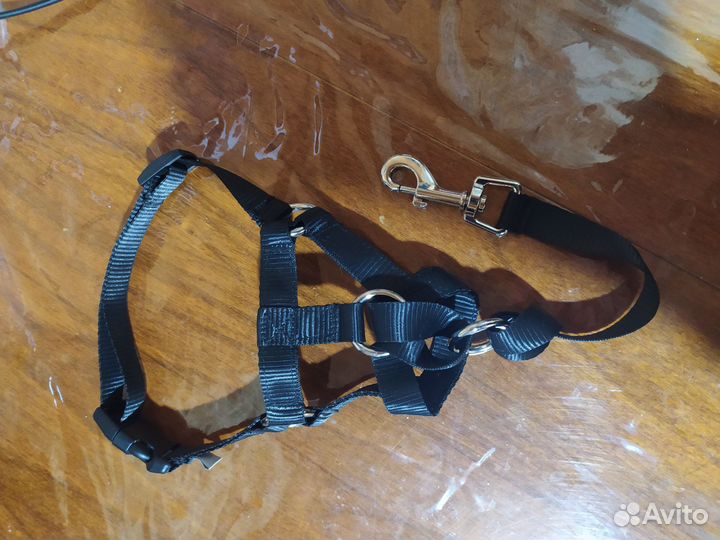 Амуниция для собак