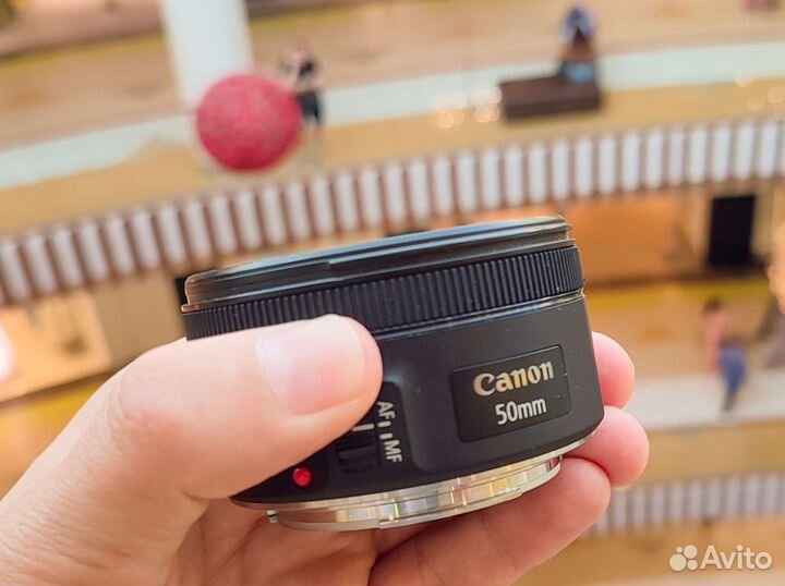 Canon EF 50mm 1.8 STM