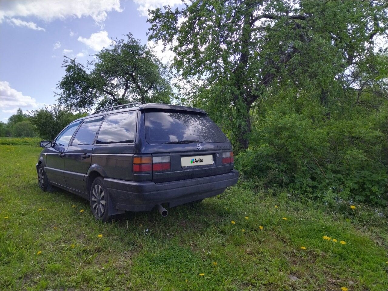 Volkswagen Passat: фото владельца