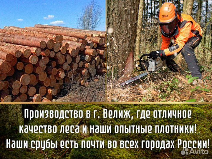 Сруб дома из бревна ручной рубки не бруса 6x8