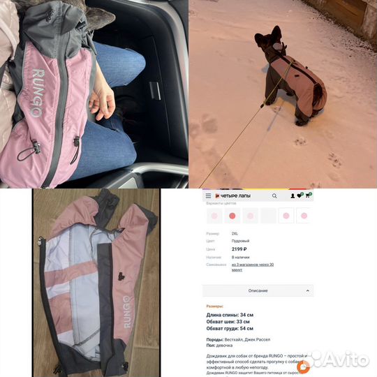 Одежда и носочки для собак